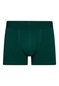 Grønne boxershorts lavet af blødt stof med en mærket elastik, som har en tætsiddende pasform og forstærkede syninger langs sømmene.