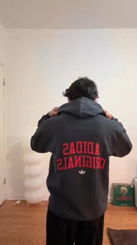 Pilkas džemperis su dideliu raudonu užrašu "ADIDAS ORIGINALS" ant nugaros. Turi gobtuvą ir ilgomis rankovėmis, pagamintas iš audinio su lygiu paviršiumi.