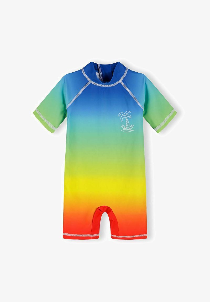 Maillot de bain pour tout-petit à manches courtes avec un dégradé arc-en-ciel, icône de palmier sur la poitrine et une fermeture éclair au dos.