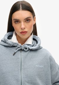 Hellgrau Zip-Hoodie mit Kordelzugkapuze und subtiler "Superdry"-Markierung in leichter Stickerei. Weicher Stoff, lässiges Design.