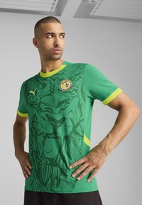 Zelený futbalový dres s potlačou leva, žlté akcenty, okrúhly výstrih, krátke rukávy, vyrobený z ľahkého materiálu. Logo na hrudi.