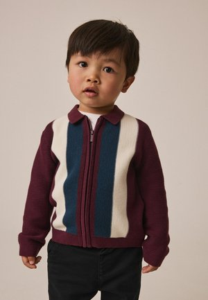 Next, STRIPE KNITTED ZIP THROUGH POLO SHIRT - Cardigan - purple navy