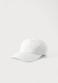 Избран, egret
