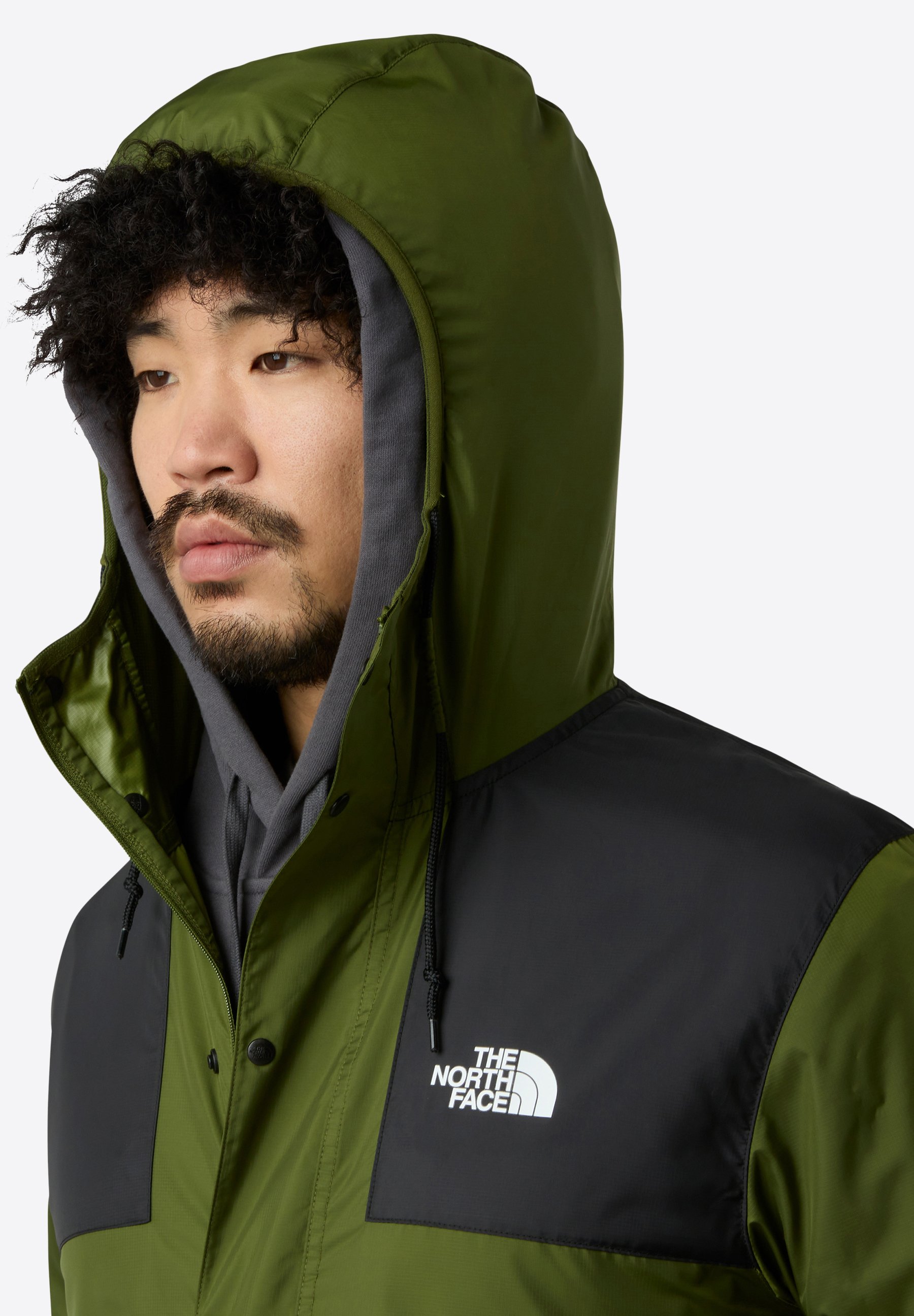 The North Face SEASONAL MOUNTAIN JACKET - Chaqueta fina - woodland The North Face SEASONAL MOUNTAIN JACKET - Chaqueta fina - woodland