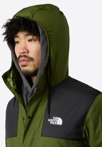 The North Face M SEASONAL MOUNTAIN JACKET - EU - Outdoorjacka - woodland green