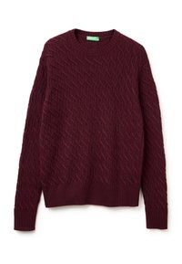Maglione a maglia bordeaux con motivo a trecce testurizzato. Presenta un collo a giro e polsini e orlo a costine. Tessuto morbido, vestibilità casual.