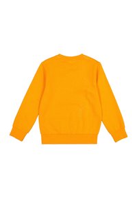 Pomarańczowy bawełniany sweatshirt z długimi rękawami, okrągłym dekoltem, ściągaczami przy mankietach i u dołu. Gładka tekstura, jednolity kolor, brak widocznych wzorów lub zdobień.
