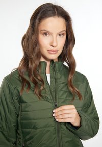 Grüne, isolierte Jacke mit hohem Kragen, gesteppter Textur und Reißverschluss. Verfügt über seitliche Taschen und eine taillierte Passform.