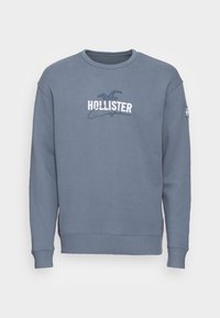 Blå sweatshirt i bomullsblandning med rund hals, långa ärmar och "HOLLISTER"-logotyp tryckt i vitt och marinblått. Normal passform.