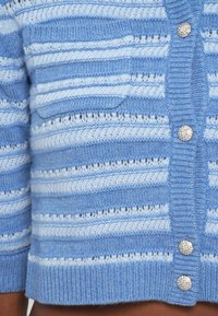 Zils svītrots džemperis, izgatavots no teksturēta adījuma. Iezīmējas ar gaiši un tumši ziliem svītrainiem, priekšējo kabatu un spīdīgām sudraba pogām.