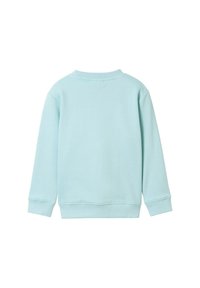 Lichtblauwe pullover met ronde hals, lange mouwen, geribbelde boorden en een zachte stofstructuur zonder zichtbare patronen.