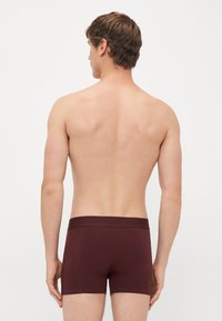 Young man seen from behind wearing maroon boxer briefs against a plain white background.
