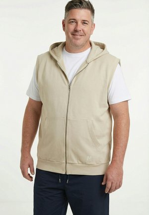 SWEAT, HOOD, KANGAROO POCKET - Bodywarmer - dark cement