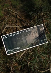 Scatola set di candele profumate intitolata "Hibernat" di Skandinavisk, presenta un'immagine di foresta, schema di colori in bianco e nero, con tre sagome di candele scure.
