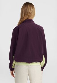 Fleece jack in donkerpaars met lichtgroene accenten. Heeft een hoge kraag, elastische manchetten en zoom, en een losse pasvorm voor comfort.