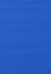 Cruz Bikiniunderdel - olympian blue