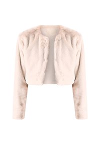 Veste courte en fausse fourrure douce de couleur rose clair. Encolure ronde, manches longues et détails brodés subtils sur le devant.