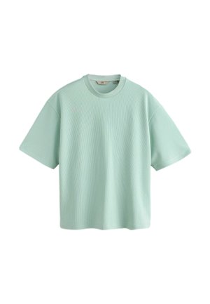 Oversized, lichtgroen T-shirt van geribd katoen met korte mouwen, ronde hals en doorgezakte schouders, op een witte achtergrond.