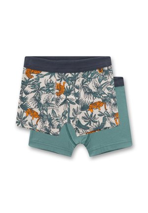 Due paia di boxer da ragazzo, uno con foglie tropicali verdi e stampa tigre arancione, l'altro verde tenue tinta unita, entrambi con fascia in vita scura.