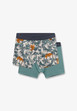 Due paia di boxer da ragazzo, uno con foglie tropicali verdi e stampa tigre arancione, l'altro verde tenue tinta unita, entrambi con fascia in vita scura.