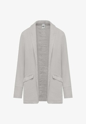 Hellgrauer Blazer mit offenem Vorderteil, langen Ärmeln, Schalkragen und zwei Klappentaschen vorne, dargestellt auf weißem Hintergrund.