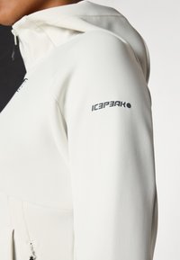 Icepeak BUNNELL - Sweater met rits - powder