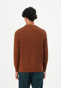 Uomo con capelli ricci scuri che indossa un maglione a maglia marrone con motivi a trecce sulle maniche e pantaloni verde scuro, che guarda di spalle su sfondo bianco.
