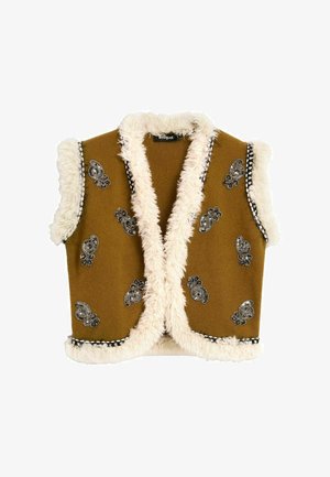 Desigual, VEST - EMBROIDERED FUR VEST . - Bodywarmer - green