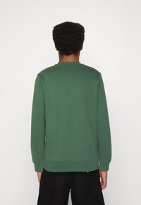 Felpa verde in cotone con colletto rotondo e maniche lunghe, con polsini e orlo a coste. Texture liscia, design minimale, senza loghi visibili.