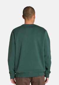 Felpa verde a girocollo realizzata in tessuto morbido, con polsini e orlo a coste, dalla superficie liscia e senza motivi o dettagli visibili.