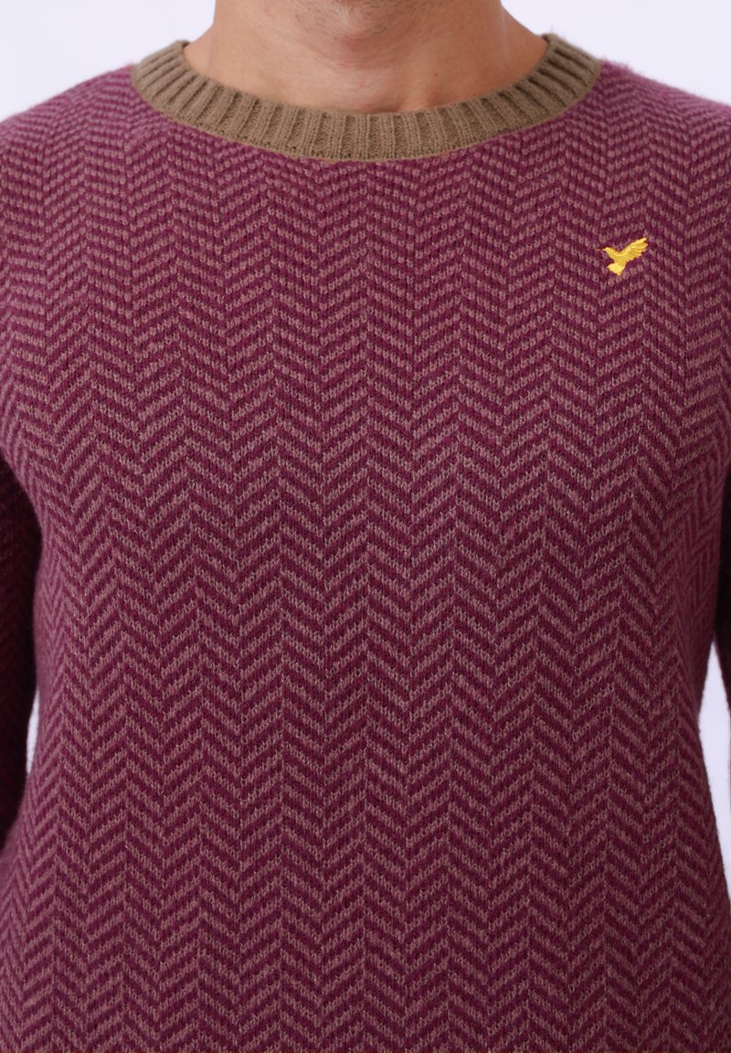 Burgundowy sweter z dzianiny w wzór jodełki, z brązowym ribbowanym okrągłym dekoltem i małym żółtym ptaszkiem na piersi.