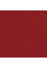 Red t-shirt with the phrase "WARNING: I have a foul mouth and I know how to use it" in large white letters.