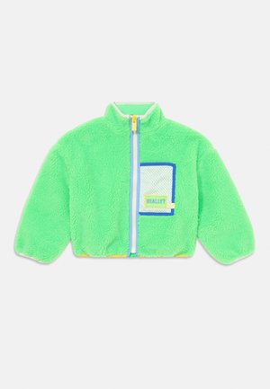 VESTE POLAIRE - Fleecejacka - intense green