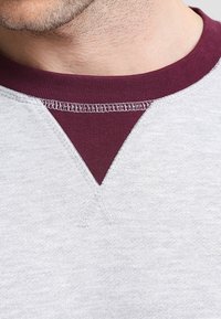 Felpa grigia con un collo a girocollo color bordeaux e un accento triangolare bordeaux all'escursione del collo. Le cuciture a vista aggiungono dettagli al tessuto.