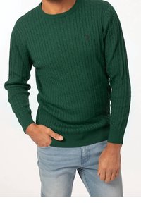 Pull vert en maille torsadée avec encolure ras du cou, manches longues et poignets côtelés. Présente un motif texturé et un détail de logo discret sur la poitrine.