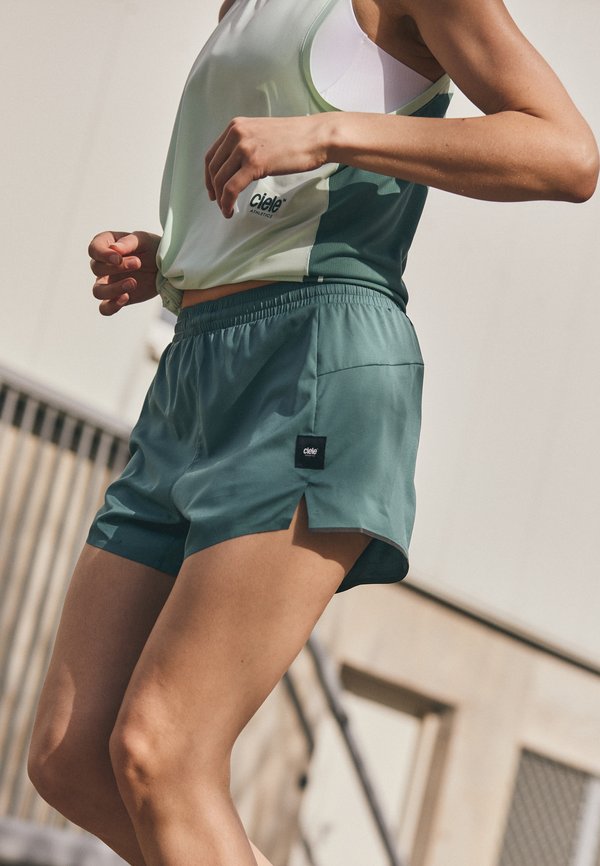 W ATSHORT 4'' - Sports shorts - silver pine