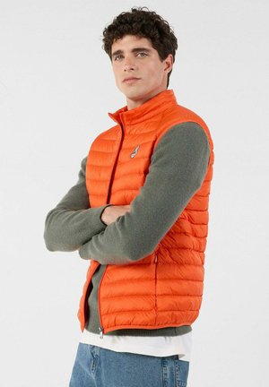 MOUWLOZE TOM - Bodywarmer - rood