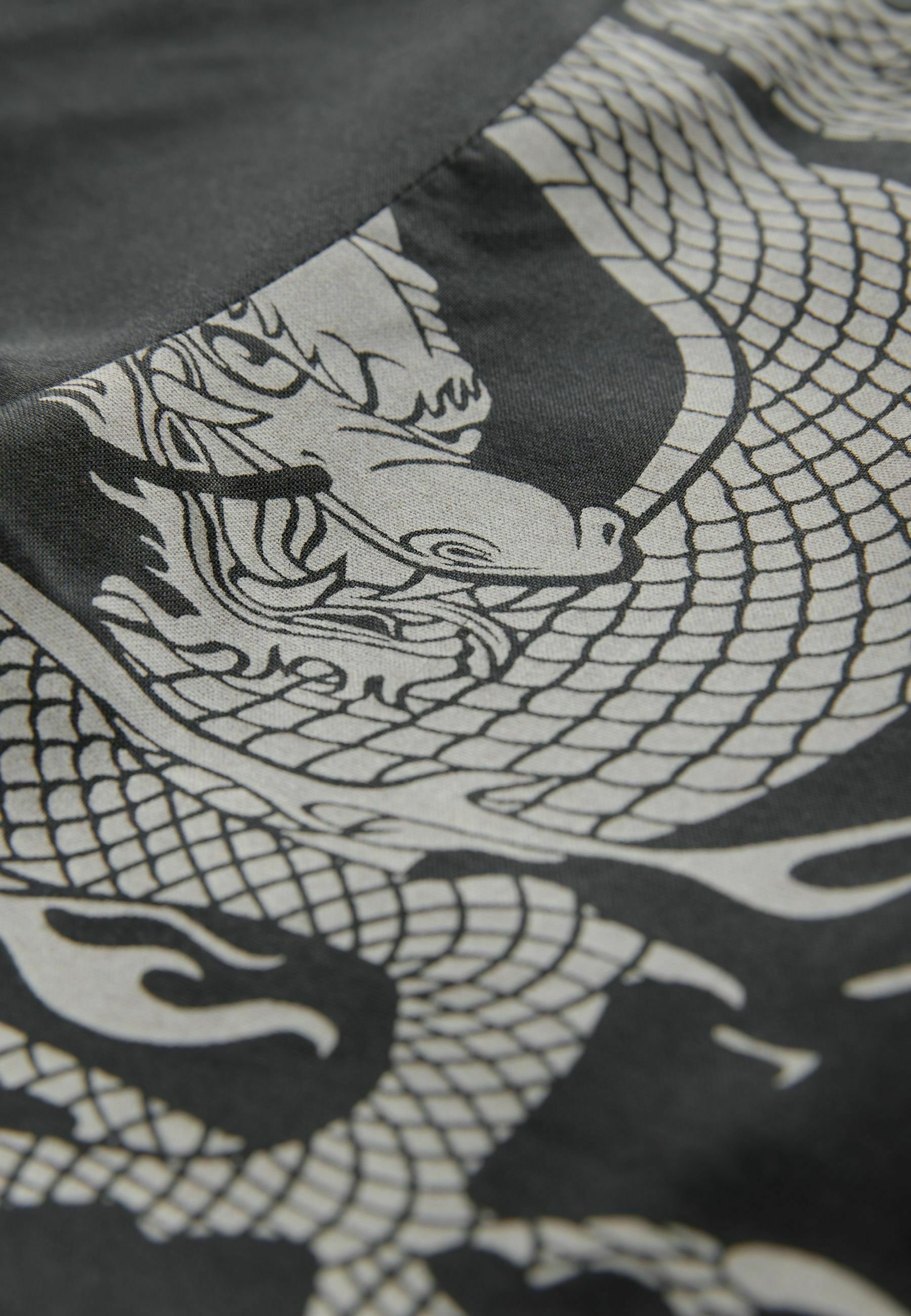 Next SHORT SLEEVE PRINTED REGULAR FIT - Shirt - black dragon/black