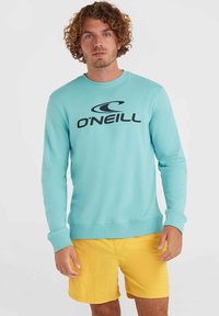 Lichtblauwe sweatshirt met een opvallend zwart O'Neill-logo op de borst. De stof is glad, met lange mouwen en geribbelde manchetten.