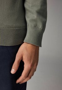 Next REGULAR FIT - Langærmet T-shirt - sage green