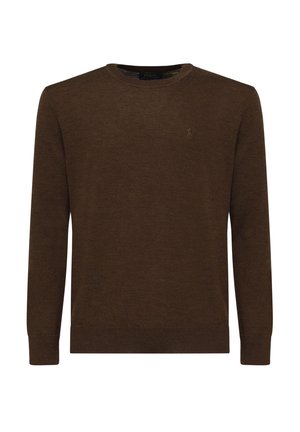 Maglione lungo di colore marrone con maniche a lunghezza intera, dotato di scollo rotondo e un piccolo logo ricamato sul petto. Tessuto morbido, design classico.