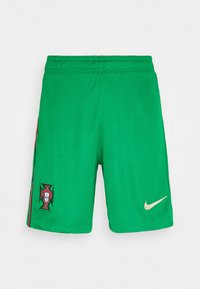 Pantalones cortos de fútbol verdes hechos de tela ligera con una cintura elástica. Presentan un logo dorado de Nike en la derecha y un emblema colorido en la izquierda.