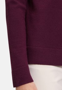 Betty Barclay BASIC-MIT STEHKRAGEN - Svetrík - dark aubergine