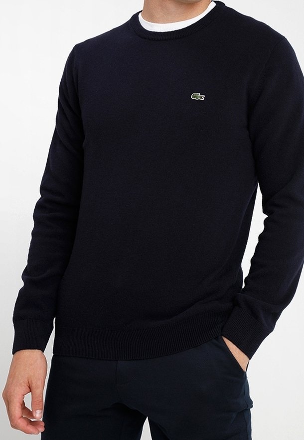 Homme portant un pull noir uni à manches longues avec un petit logo crocodile vert sur la poitrine, associé à un pantalon foncé.