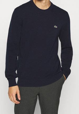 Homme portant un pull à manches longues bleu marine avec un petit logo crocodile vert, associé à un pantalon gris foncé, debout avec une main dans la poche.