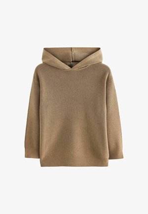 REGULAR FIT - Džemperis su gobtuvu - tan brown