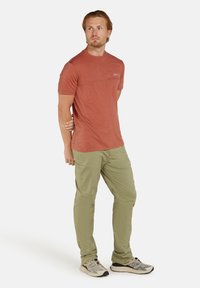 icebreaker Camiseta estampada - cedar wood