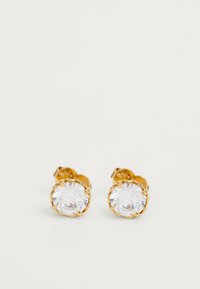 THAT SPARKLE ROUND EARRINGS - Oorbellen - clear/gold-coloured