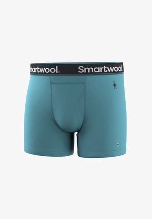 Herrenshorts in Türkis mit schwarzem Bund, auf dem vorne rechts das "Smartwool"-Logo und ein kleines Roboter-Symbol zu sehen sind.