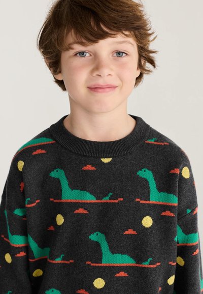 Garçon aux cheveux châtain clair porte un pull gris foncé avec des motifs de dinosaures verts, des cercles jaunes et des formes orange ressemblant à des nuages.